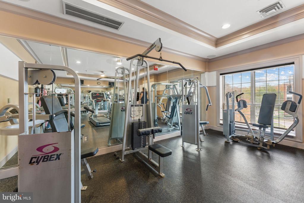 4870 EISENHOWER AVENUE Unit: 306