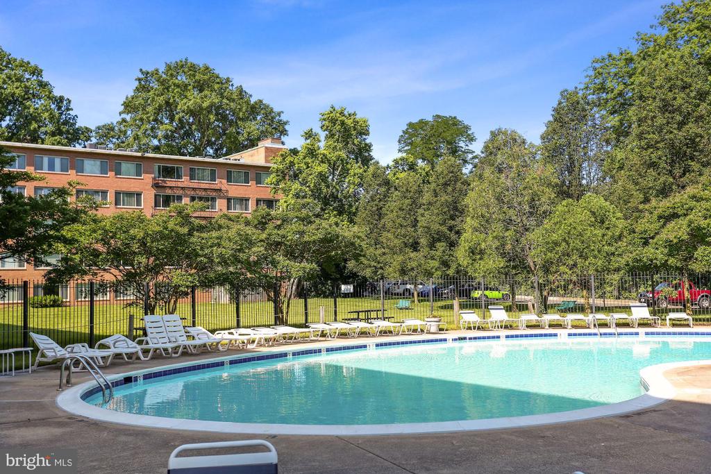 10570 MAIN STREET Unit: 408