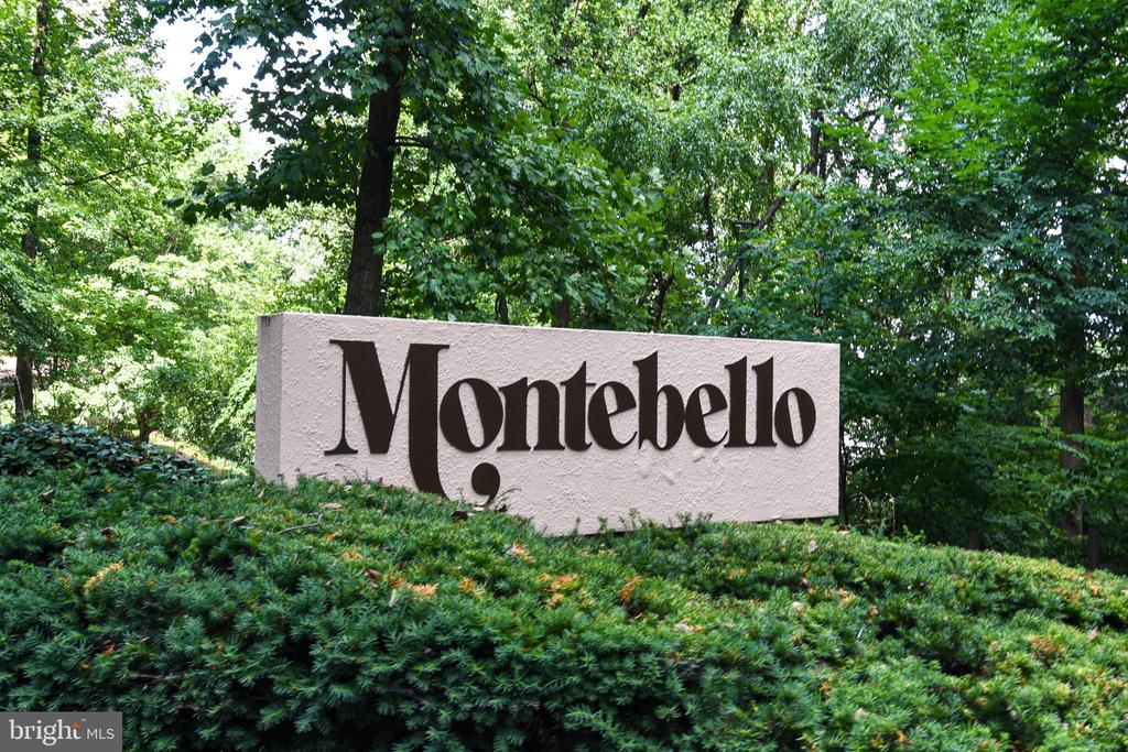 5903 MOUNT EAGLE DRIVE Unit: 516