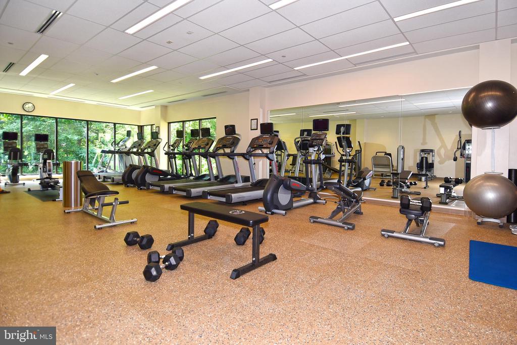 5903 MOUNT EAGLE DRIVE Unit: 516