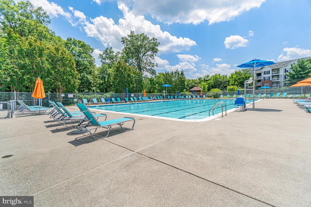2484 ANGELINE DRIVE Unit: 304