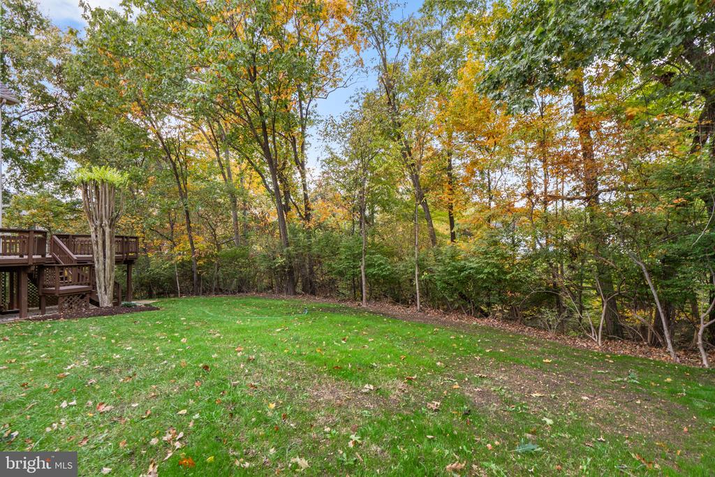 13019 BANKFOOT COURT