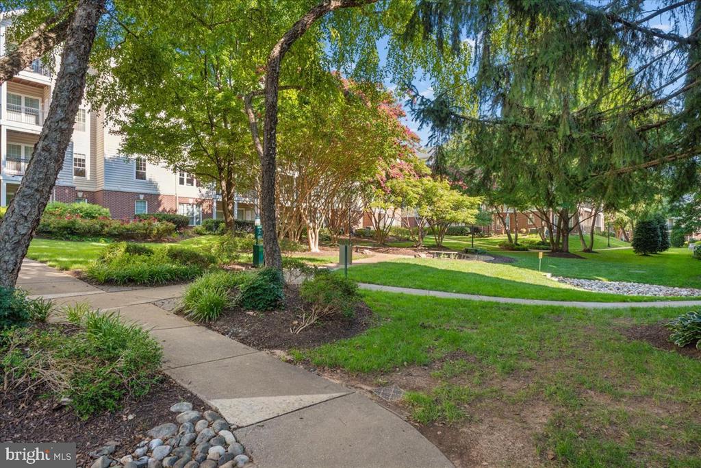 1550 SPRING GATE DRIVE Unit: 8113