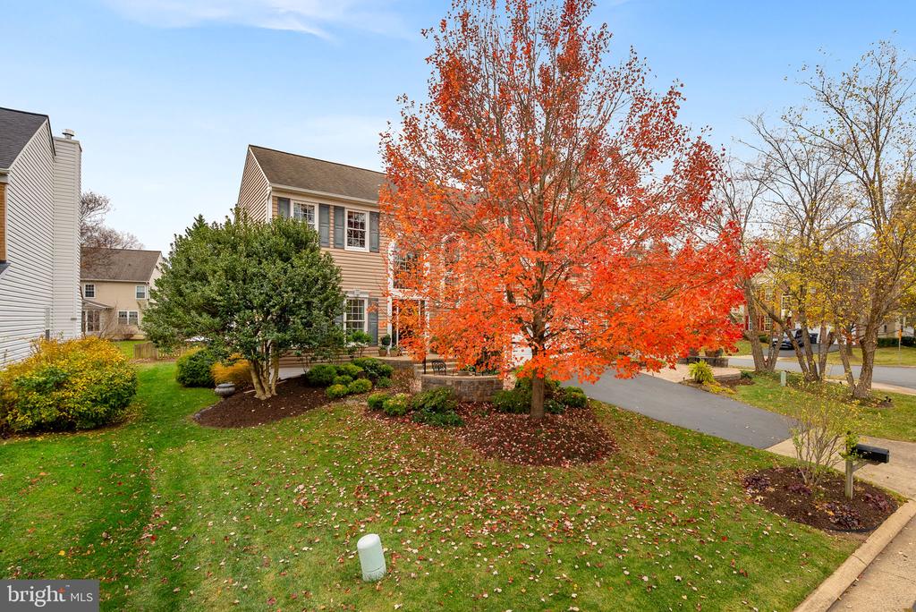 20340 ADVANTAGE COURT