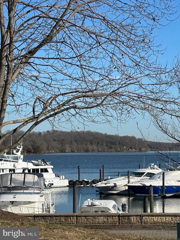 820 BELMONT BAY DRIVE Unit: 405