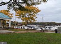 820 BELMONT BAY DRIVE Unit: 405