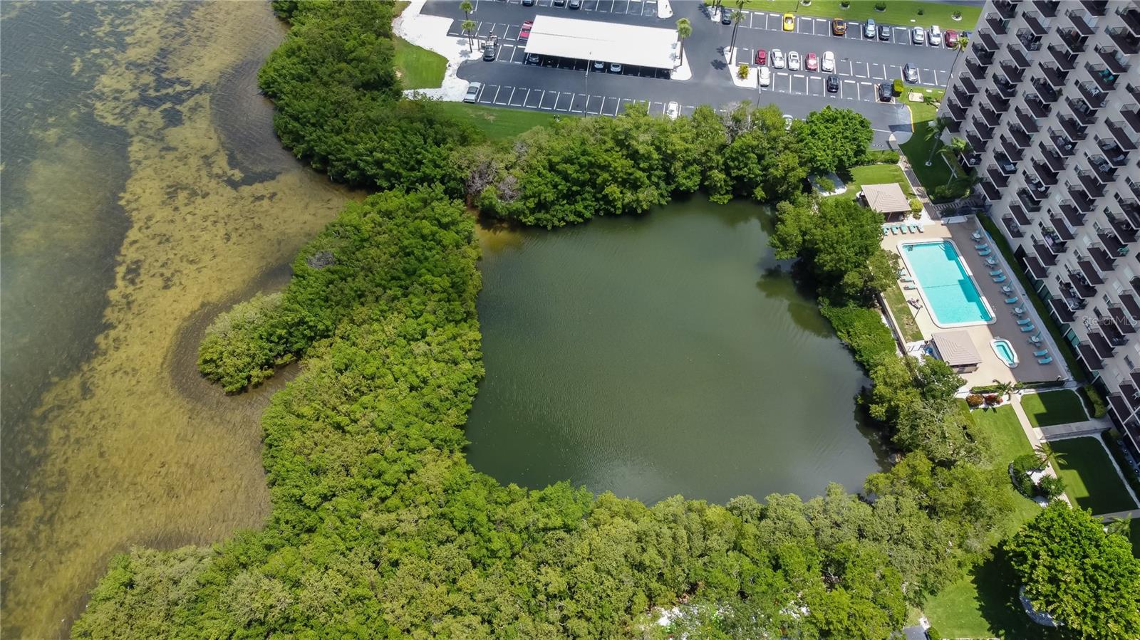 7050 SUNSET DR S #806