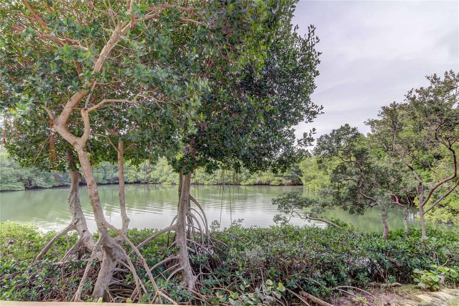 7050 SUNSET DR S #806