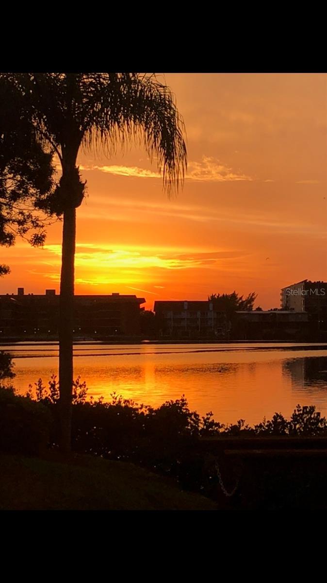 14623 LORIDAWN DR #11