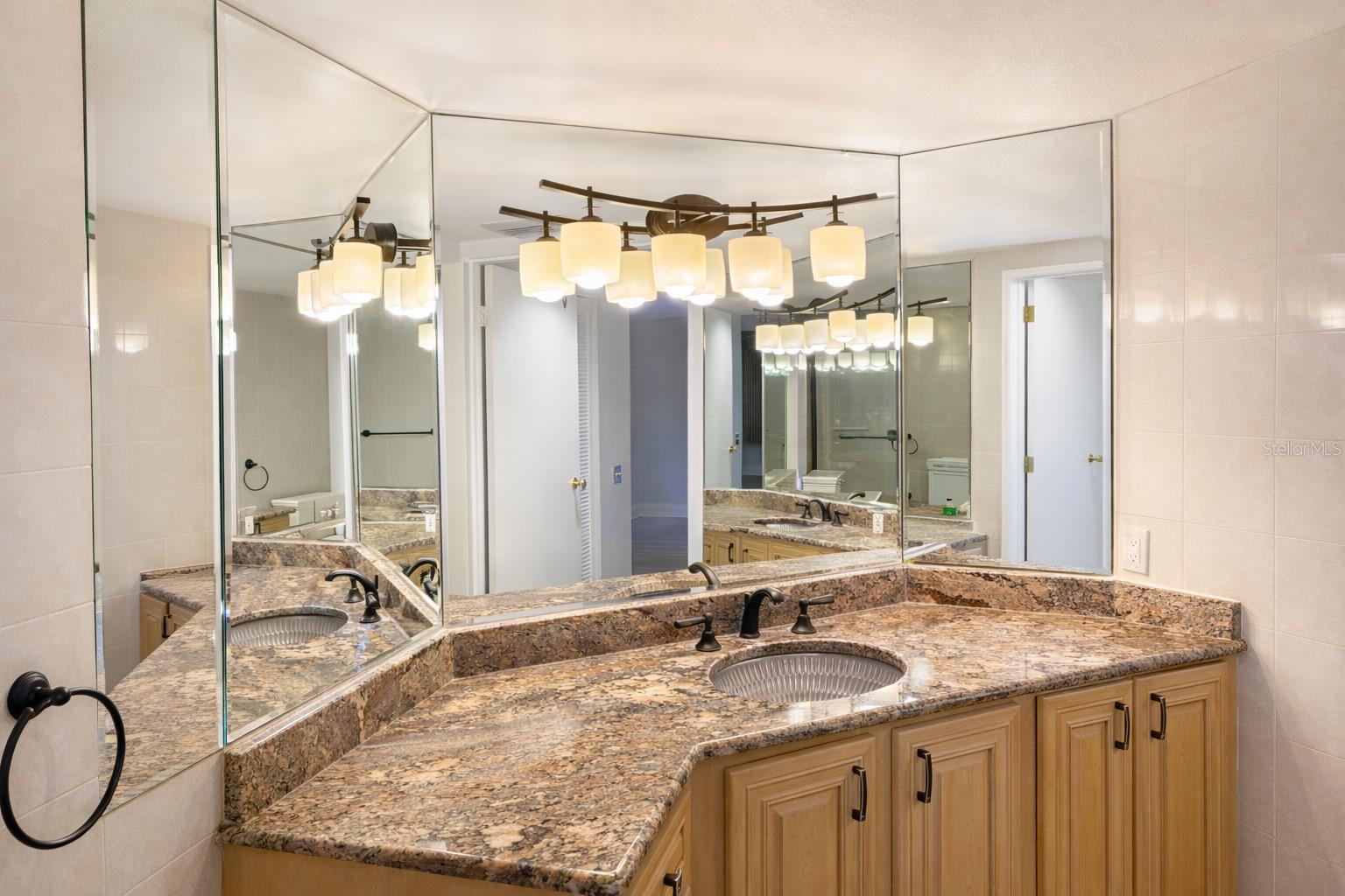 2333 FEATHER SOUND DR #A301