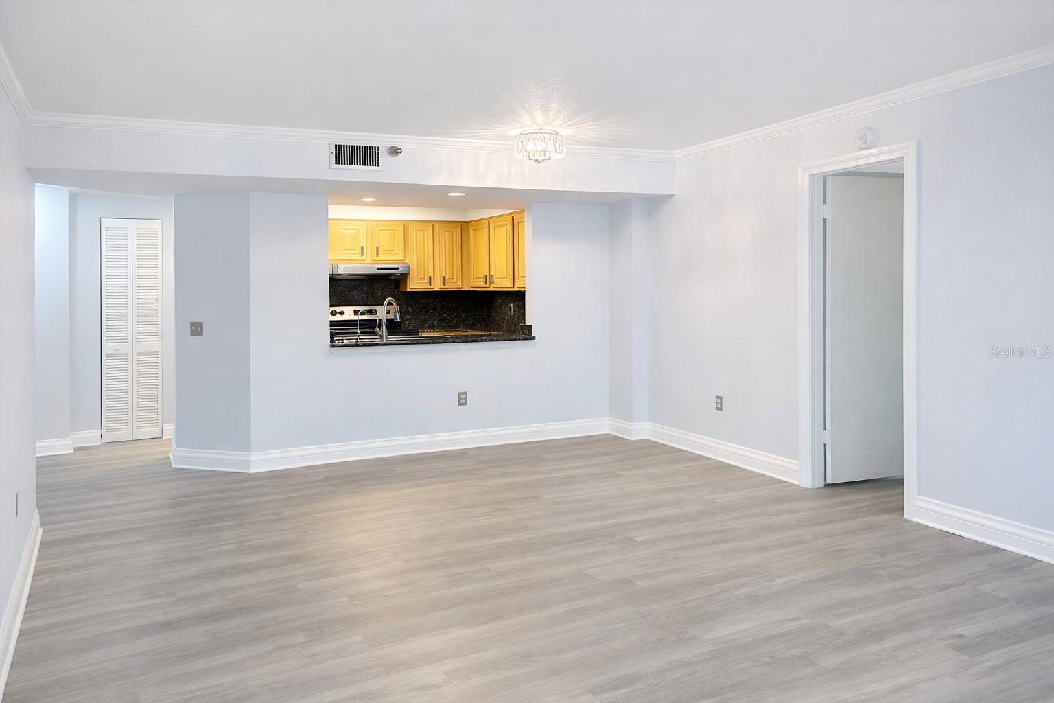 2333 FEATHER SOUND DR #A301