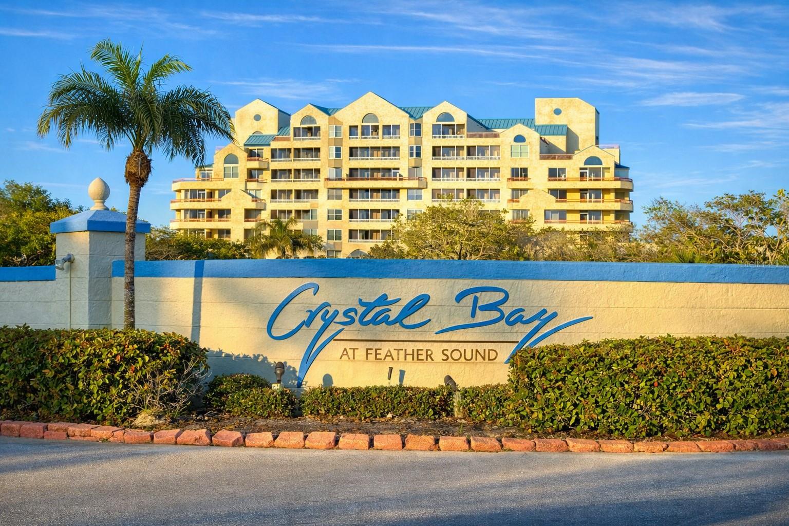 2333 FEATHER SOUND DR #A301