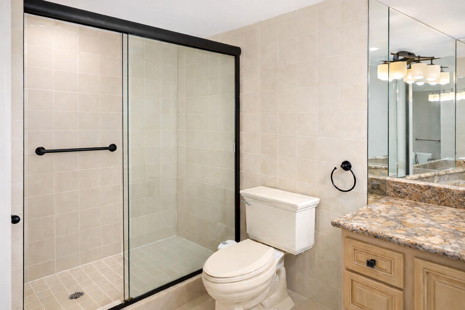 2333 FEATHER SOUND DR #A301