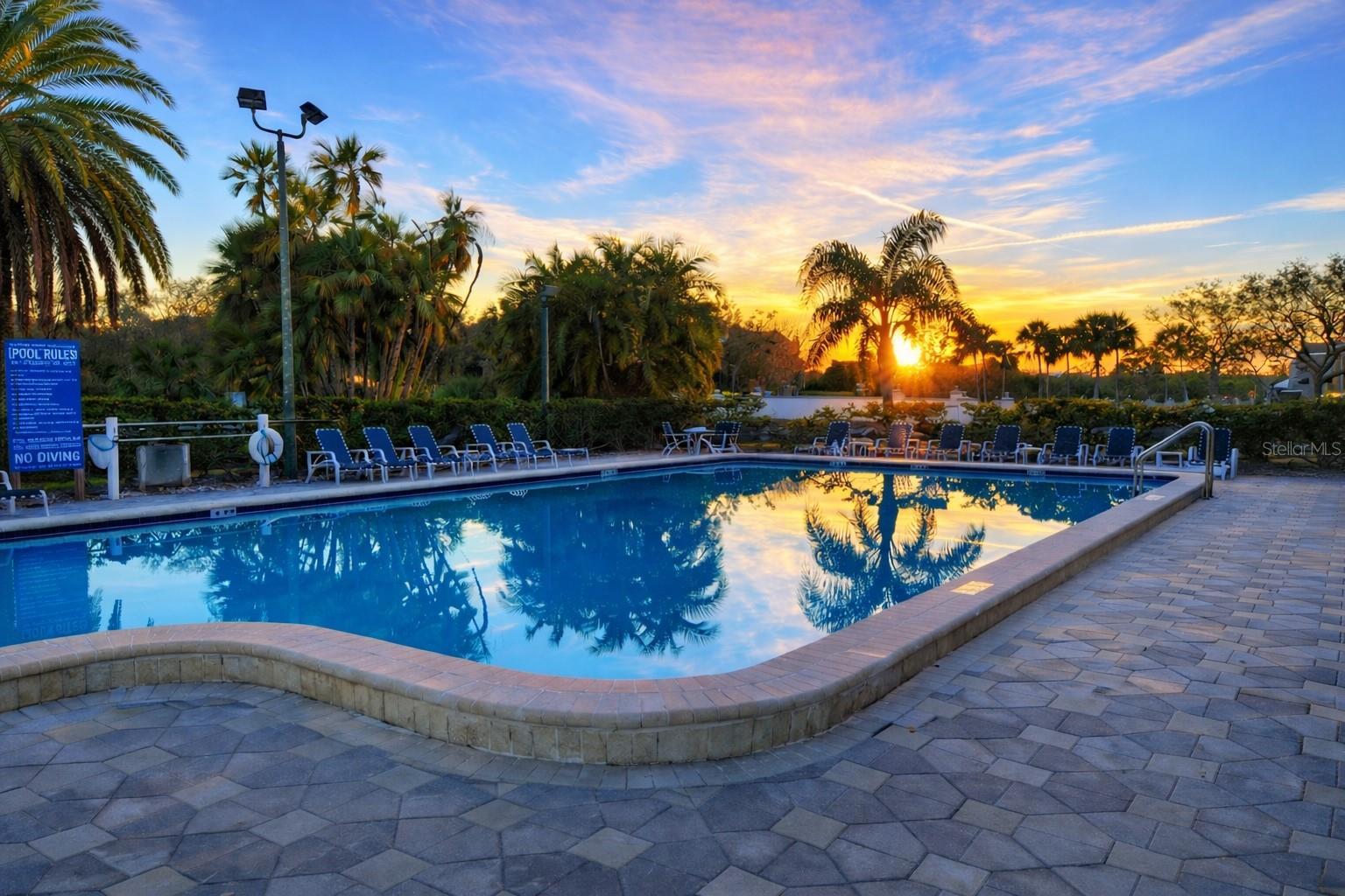 2333 FEATHER SOUND DR #A301