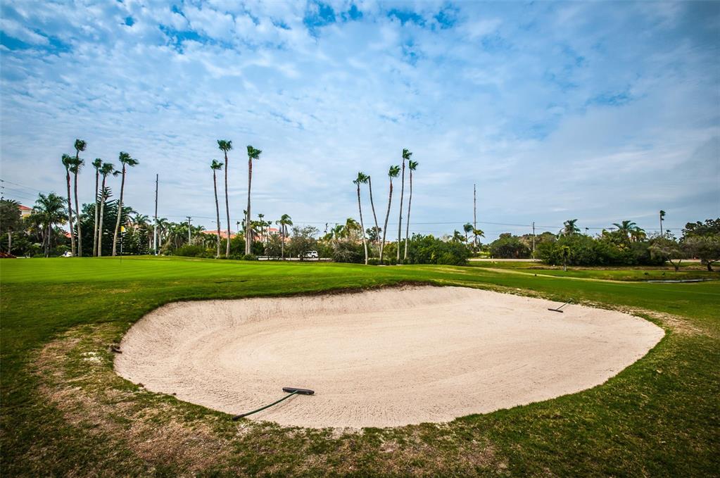 6322 PALMA DEL MAR BLVD S #1208