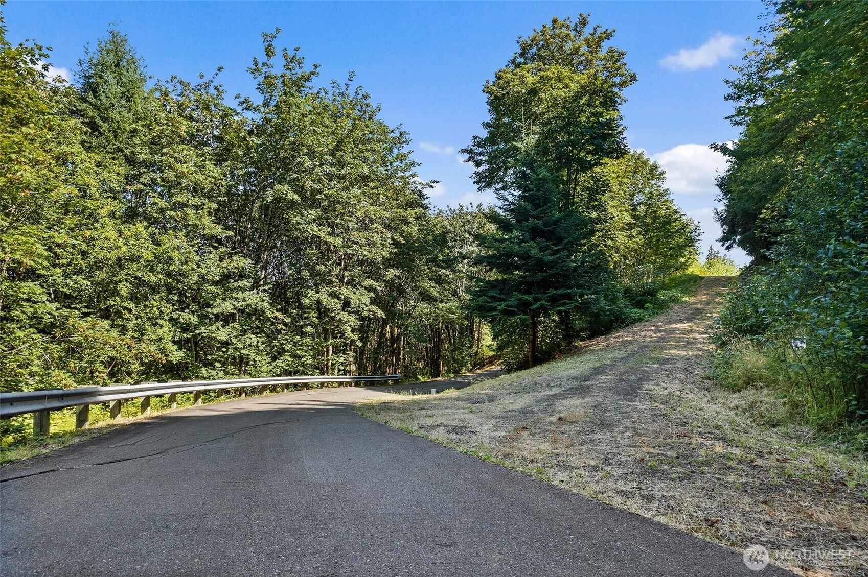 Paved road curves beside dense woods and a cleared grassy slope.