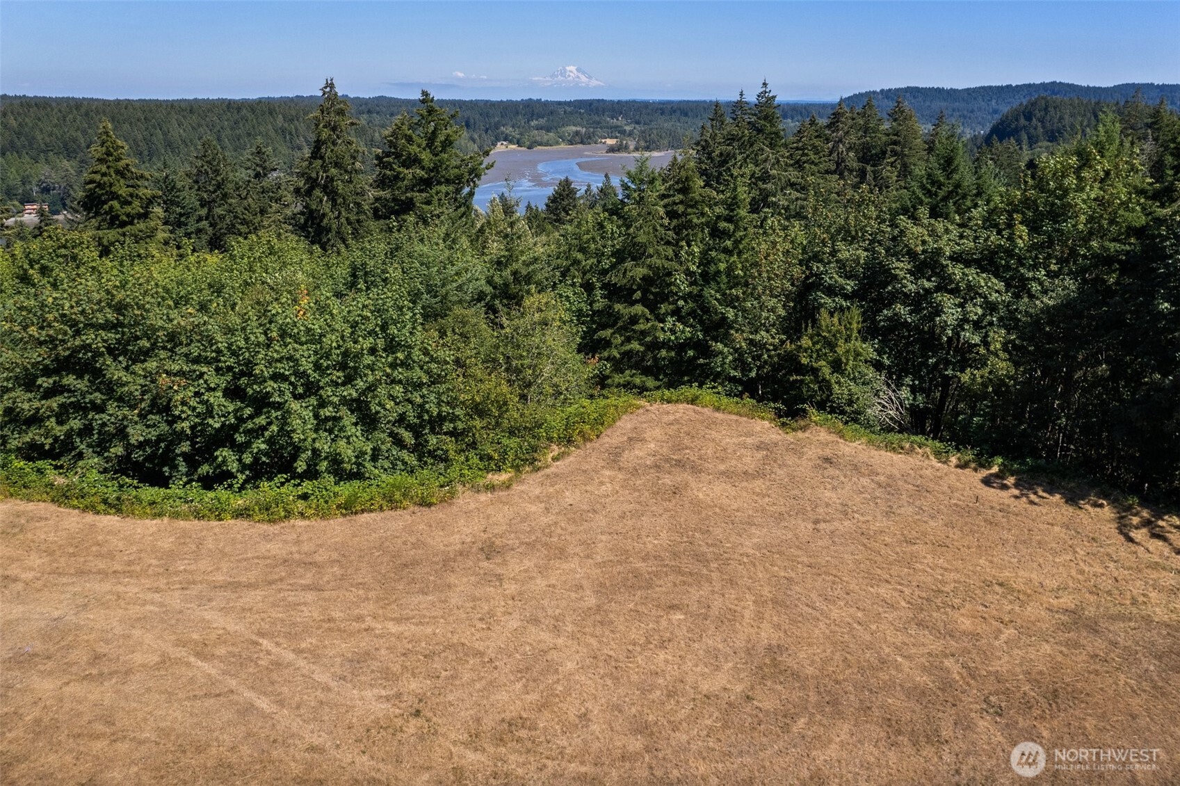 Grassy clearing bordered by evergreens, with a waterway and distant snow-covered mountain beyond.