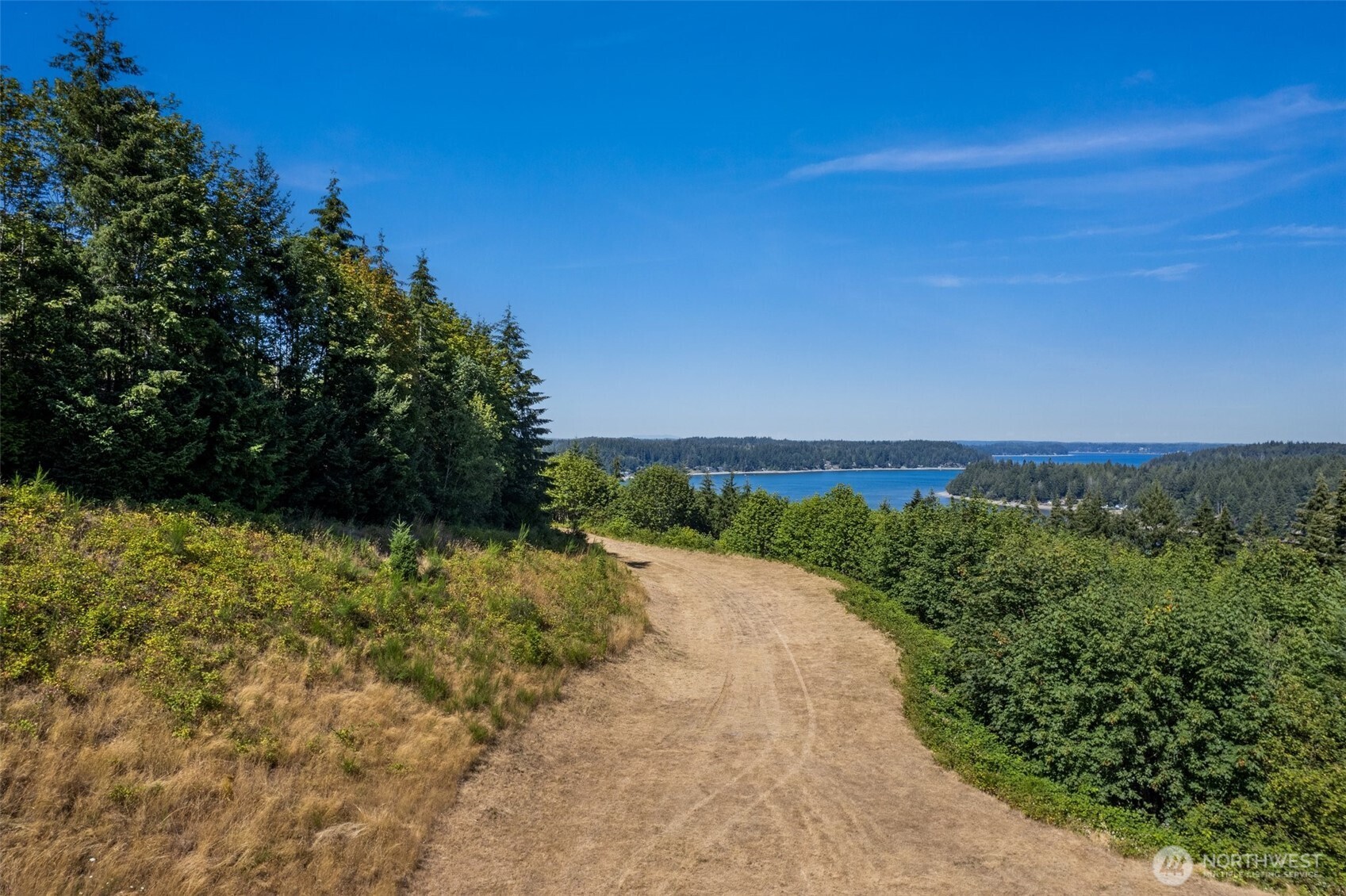 Wooded property with a dirt road leading toward a bay and forested shoreline.
