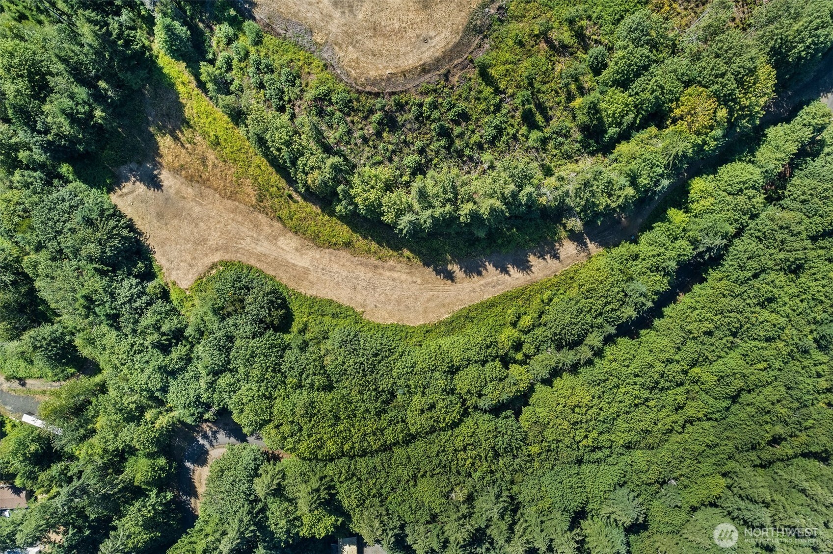 Aerial view of a wooded property with a large curved clearing and access drive.