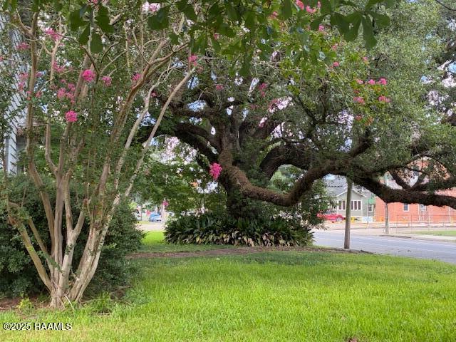 203 W St. Peter Street