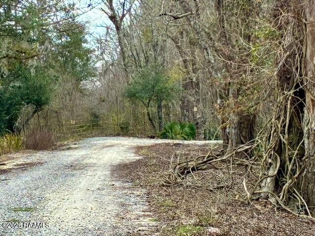 Lot 11 Teche Lake Canal Road