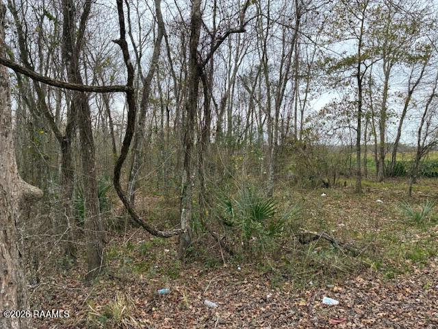 Lot 11 Teche Lake Canal Road