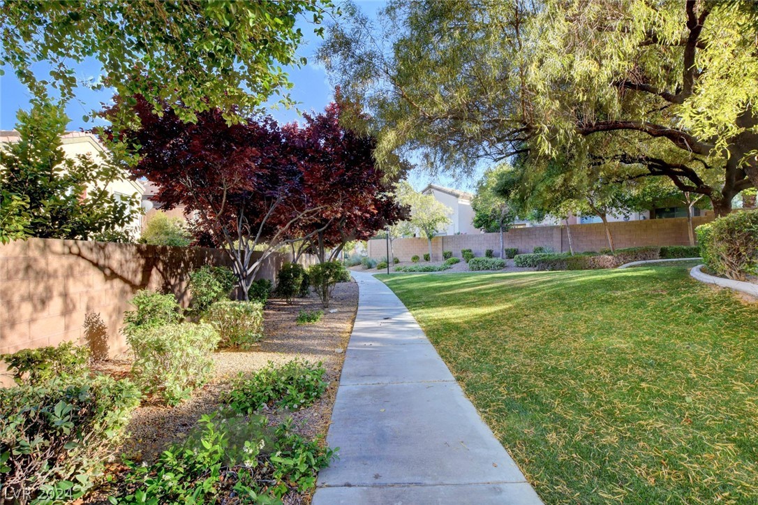 8233 Strawberry Spring Street