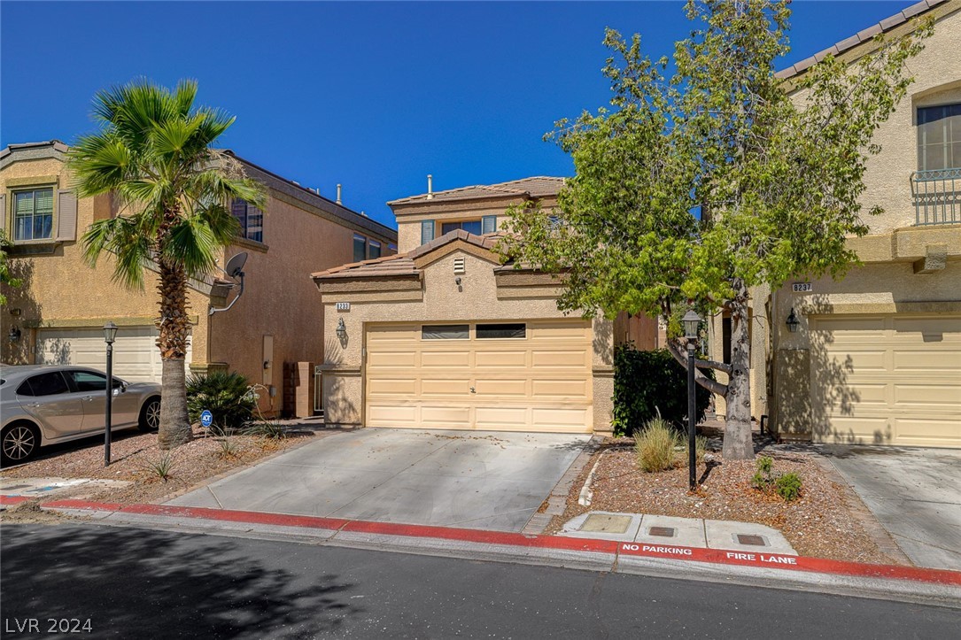 8233 Strawberry Spring Street
