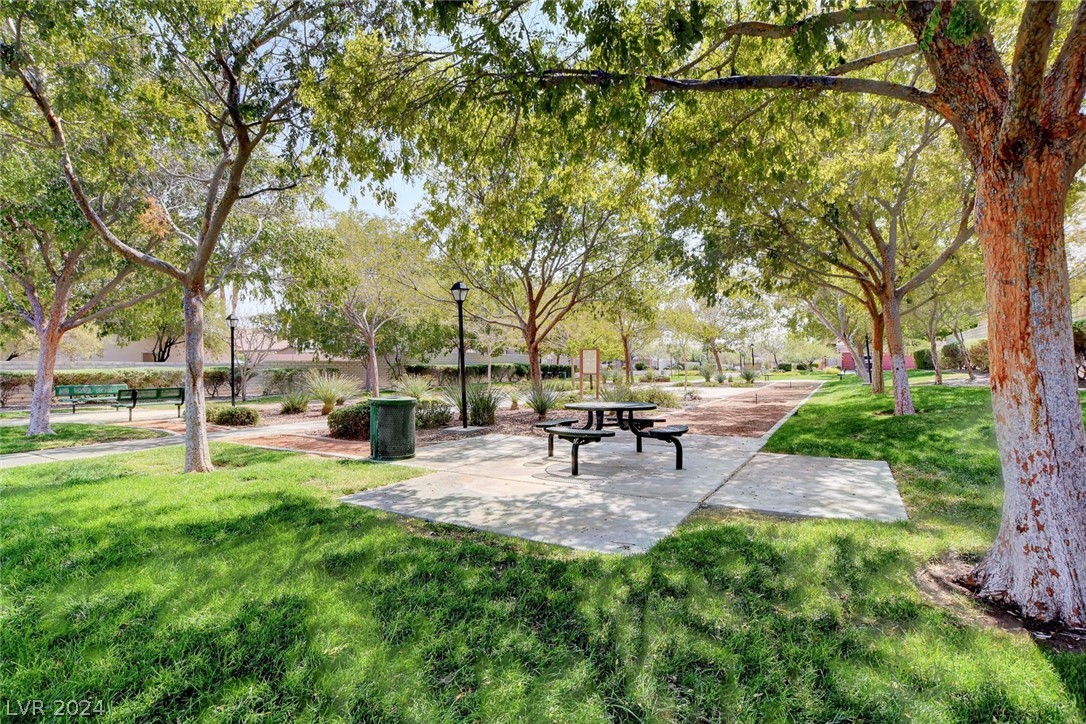8233 Strawberry Spring Street