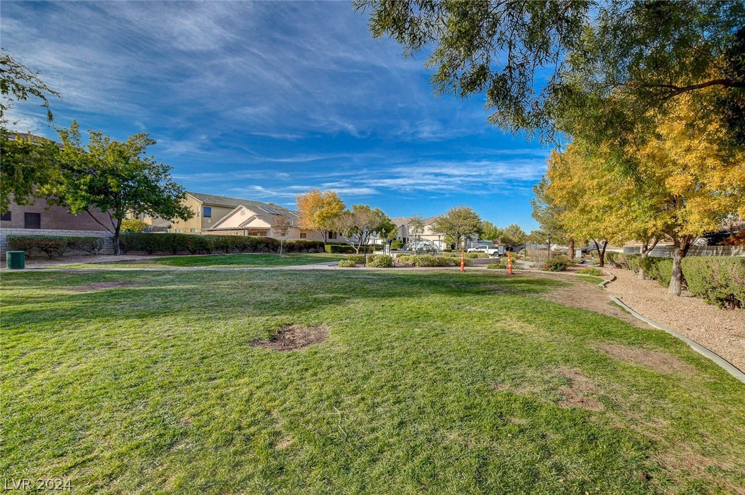 8233 Strawberry Spring Street