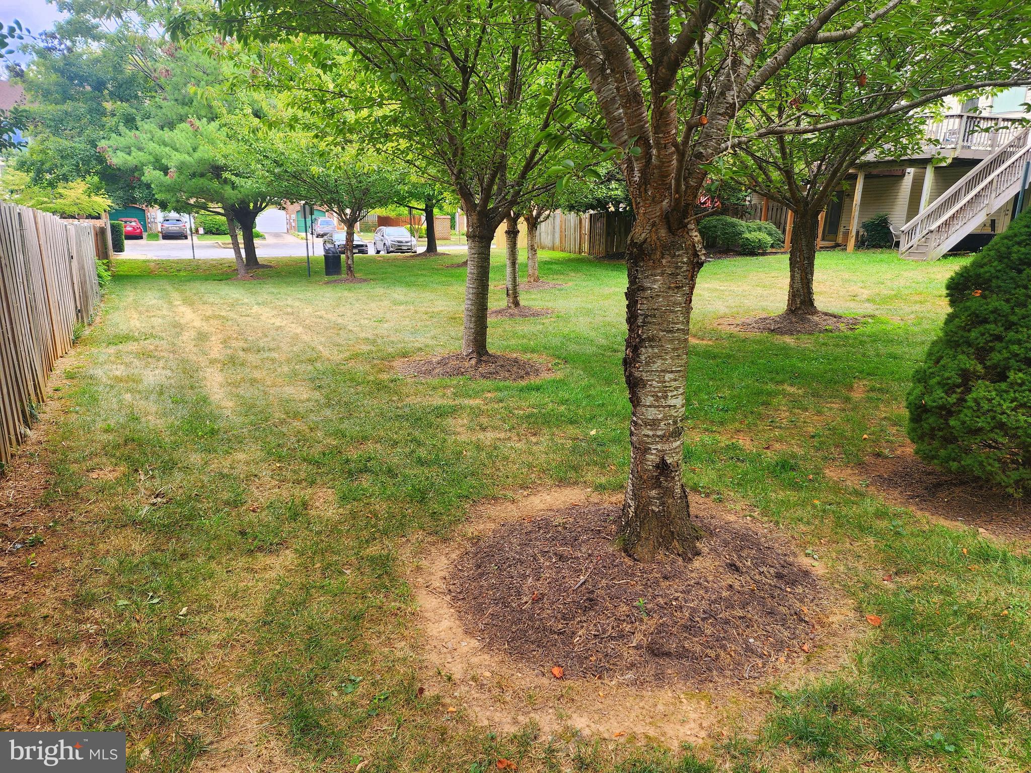 Backyard with a broad lawn, mature trees, wooden fencing, and a neighboring raised deck.