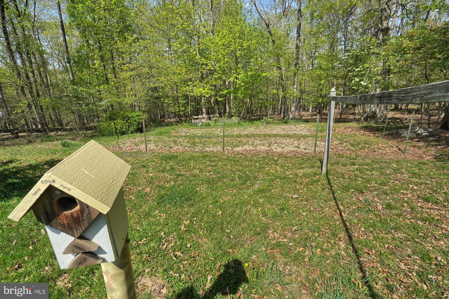 Wooded backyard with a wooden birdhouse in the foreground and a clothesline across the lawn.