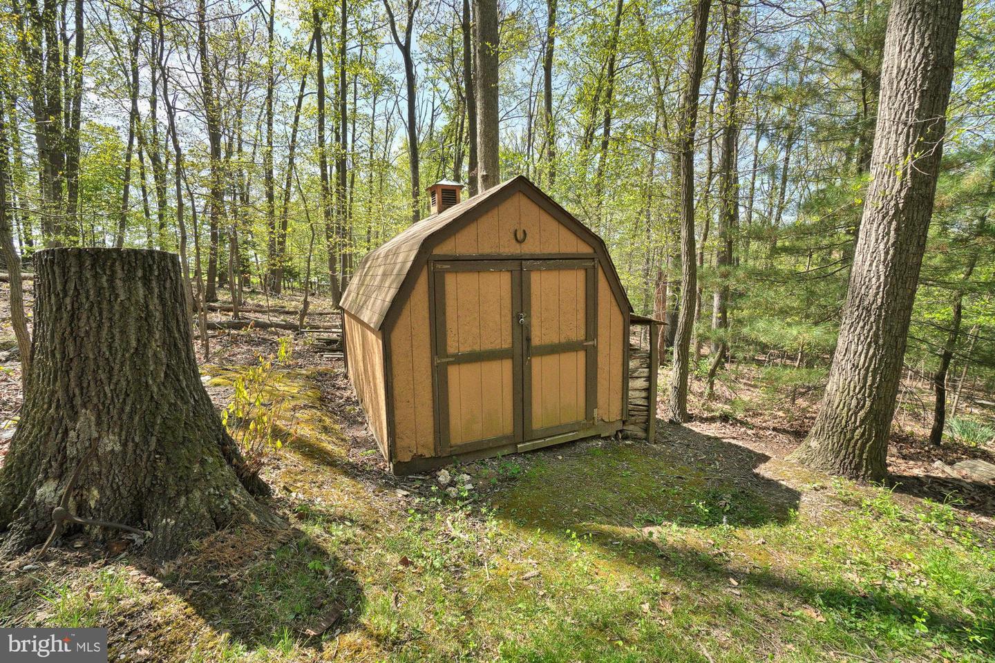 Brown storage shed with double doors in a wooded yard, beside a large tree stump.