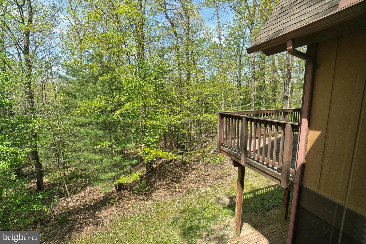 Raised wooden deck overlooking a leafy wooded backyard, with a brick patio below.