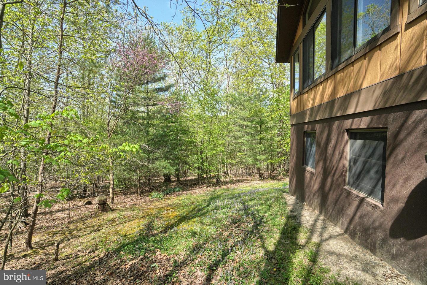 House beside a wooded yard, with large windows and a narrow gravel path along its side.