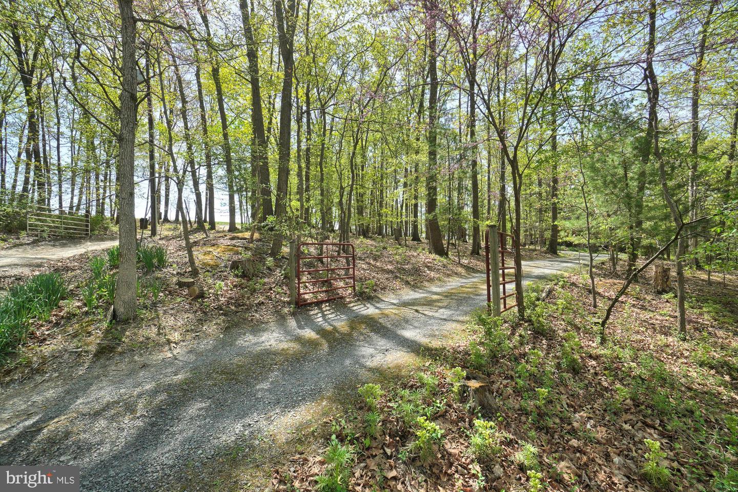 Gravel driveway through red metal gates into a leafy wooded property.