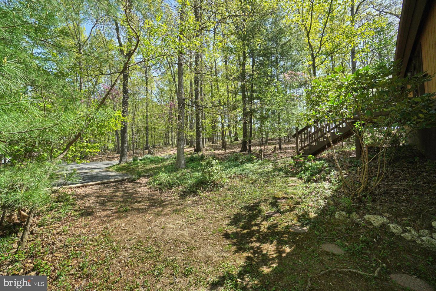Wooded yard beside a house, with a paved path and stairs leading through leafy trees.