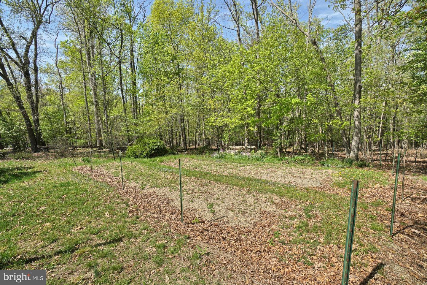 Wooded property with a grassy clearing and green stakes among mature trees.