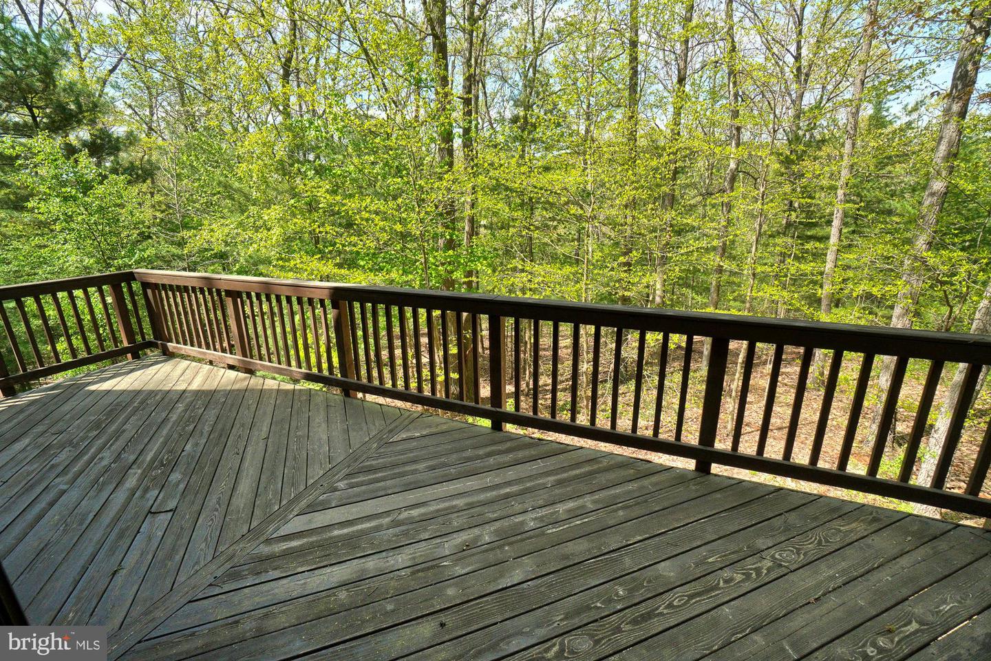 Wooden deck overlooking leafy woodland