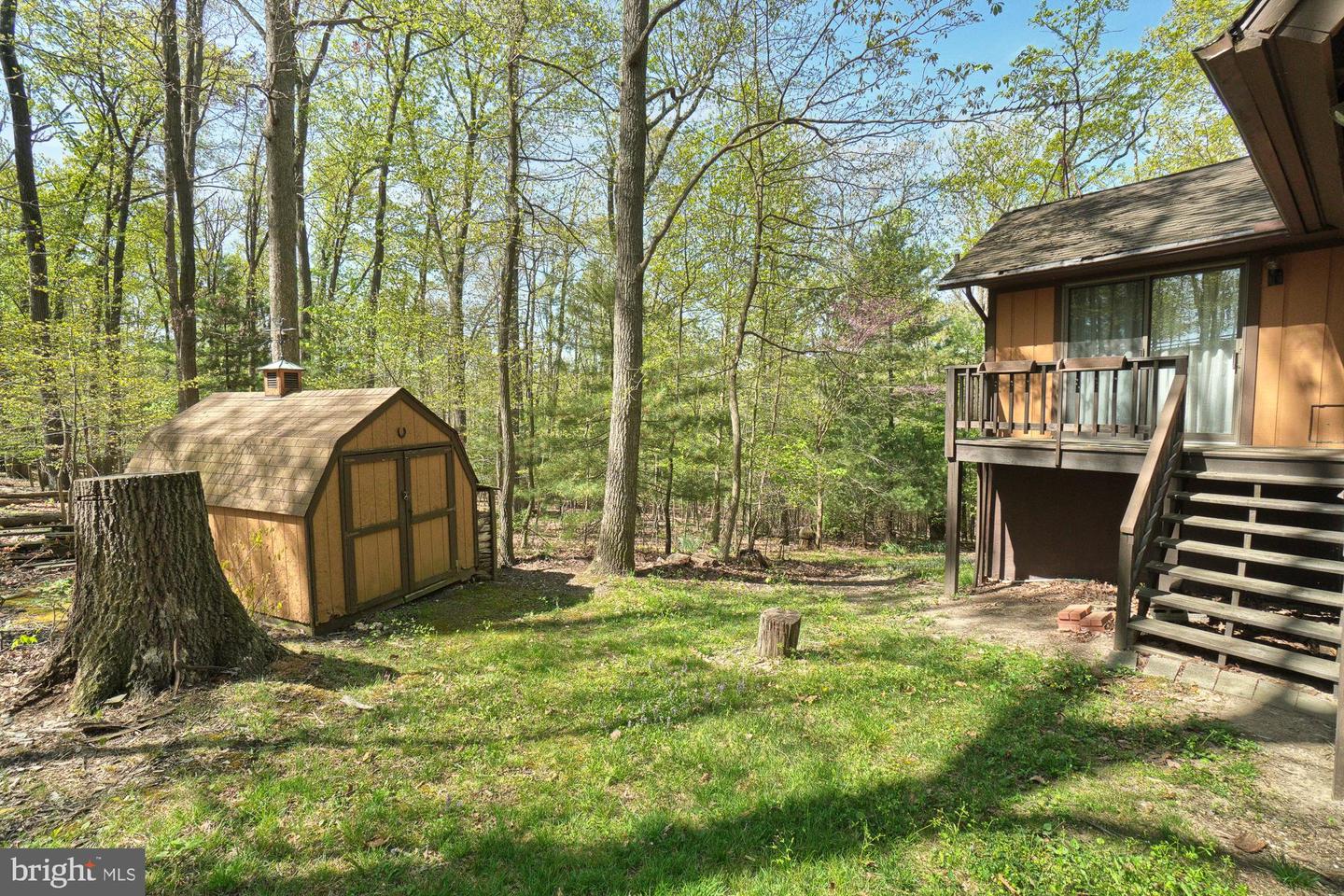 Wooded backyard with a brown storage shed beside a home’s raised deck and stairs.