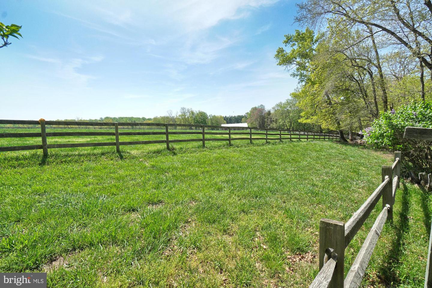 Fenced grassy pasture bordered by mature trees, with a small white-roofed structure in the distance.