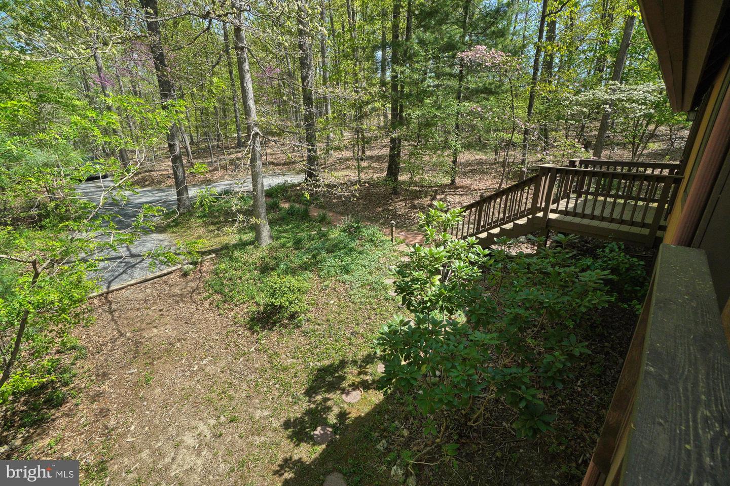 Wooded backyard with a raised deck and steps beside the house.