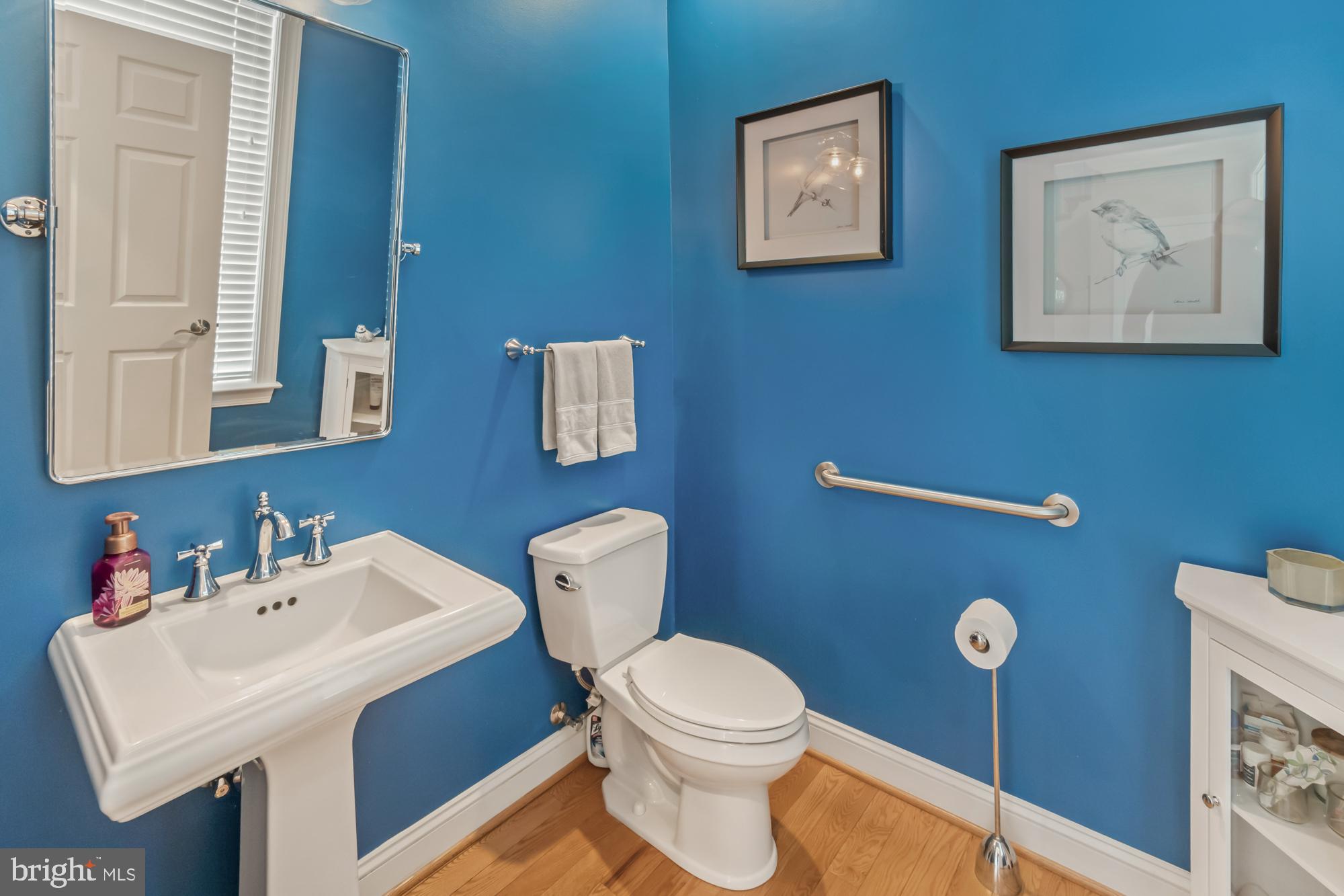 Bathroom with vivid blue walls, a white pedestal sink and toilet, and framed bird prints.