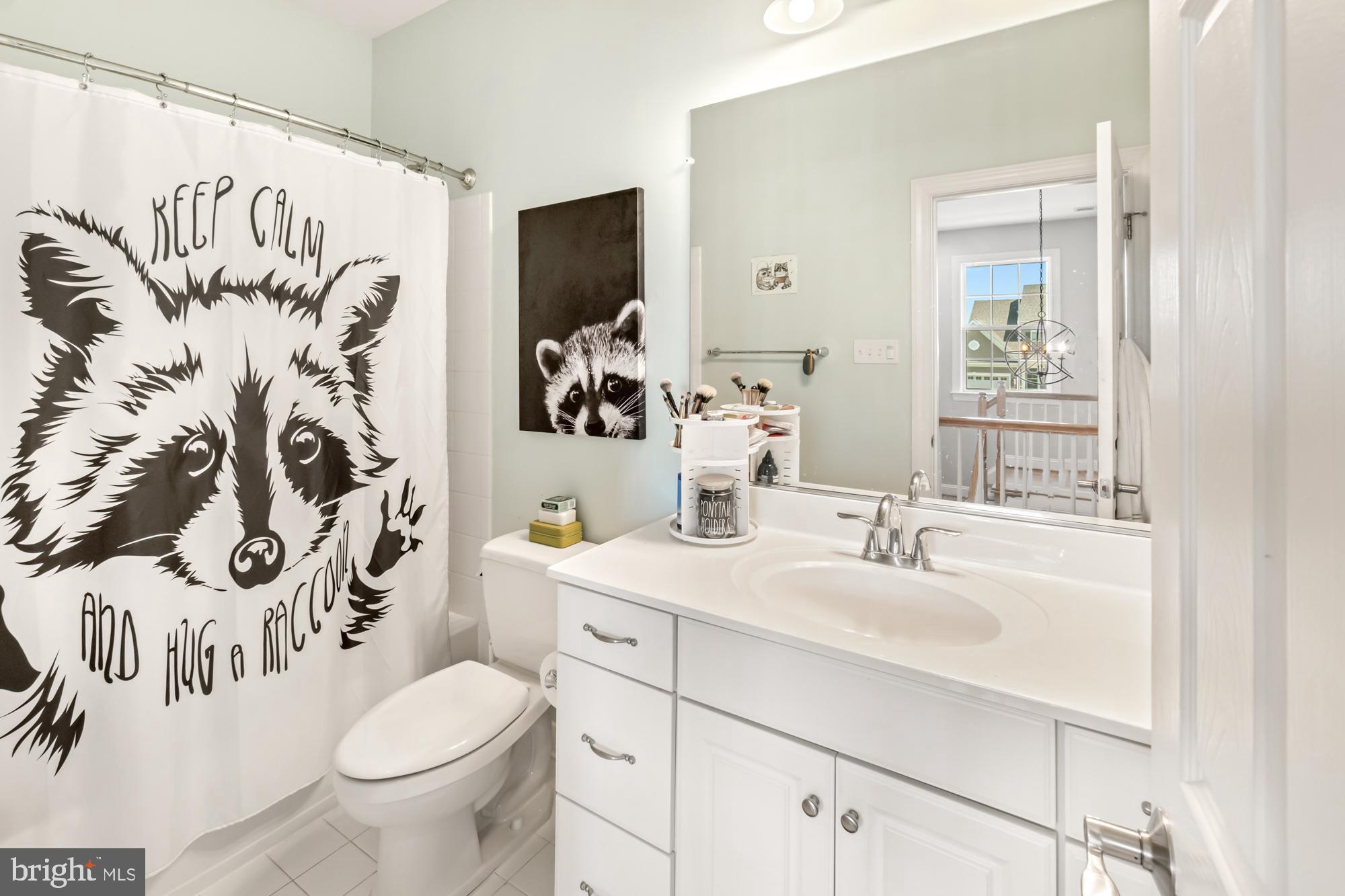 Bathroom with a white vanity and mirror, plus a raccoon-print shower curtain.