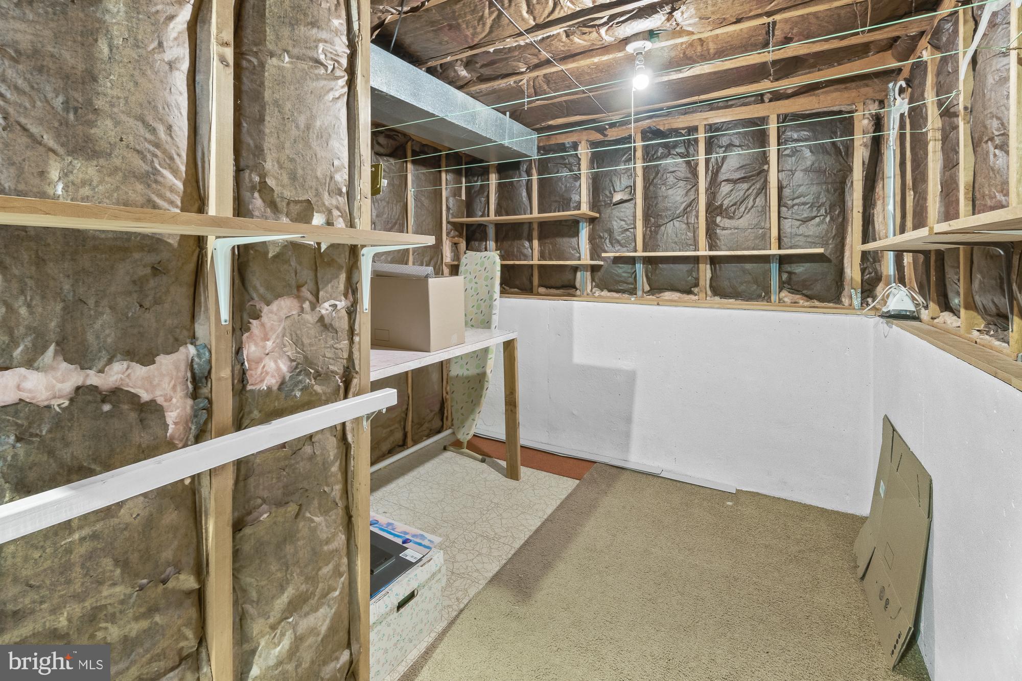 Basement storage area with exposed insulation, wall shelves, carpet, and an ironing board.