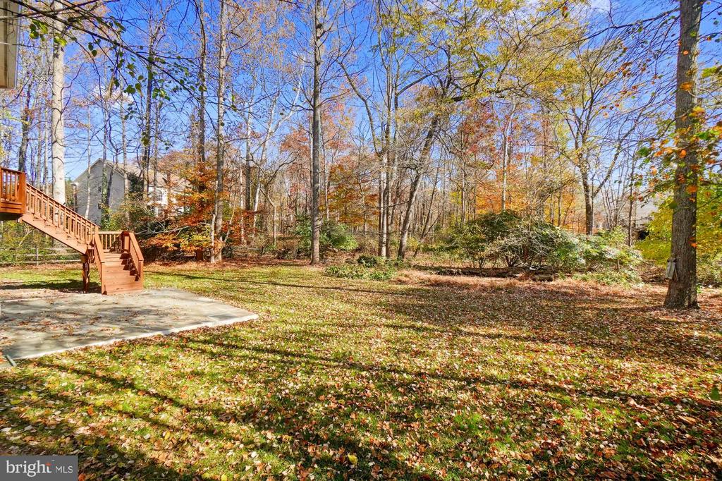 Wooded backyard with a concrete patio and wooden deck stairs among autumn leaves.
