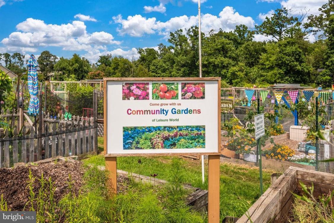 3630 GLENEAGLES DRIVE 8-1D