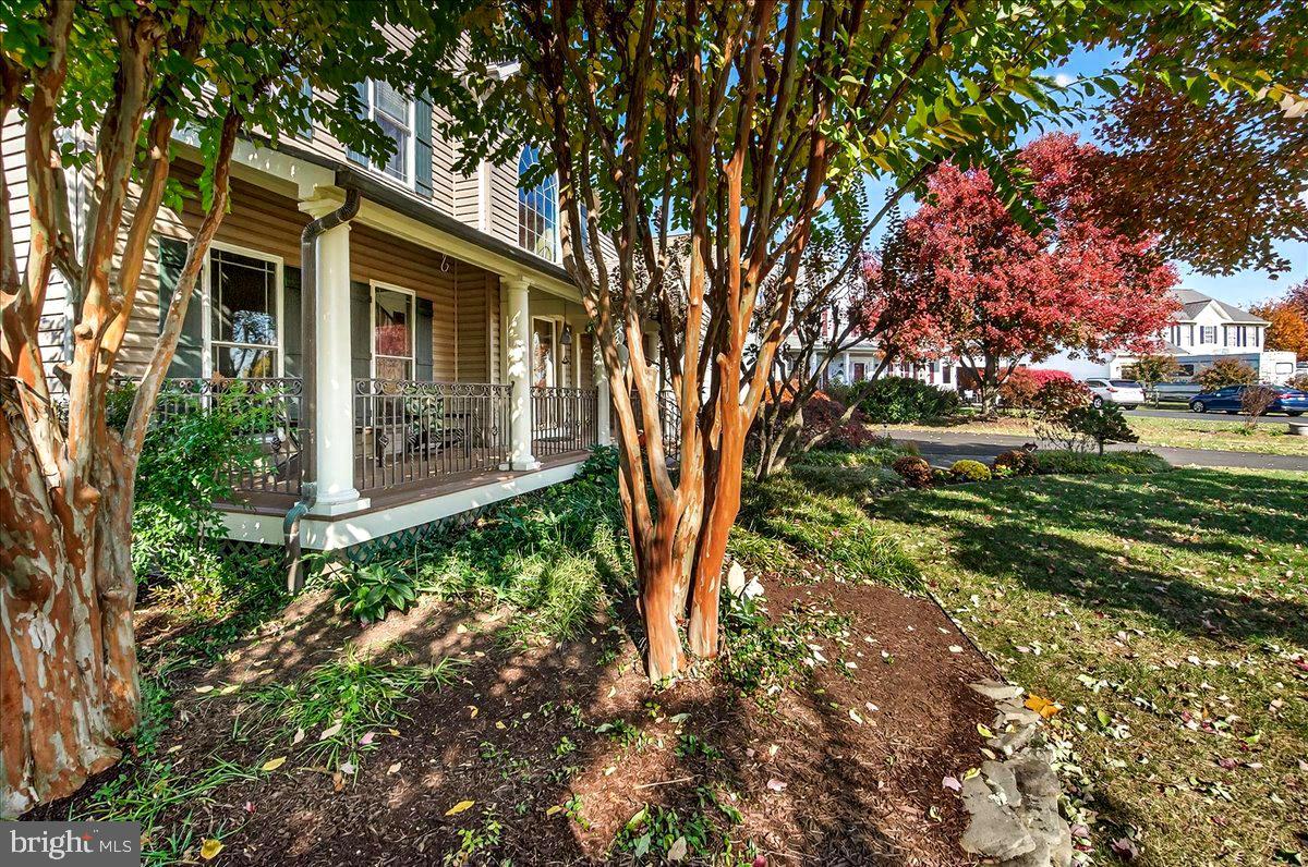 19505 GRAY FARM COURT