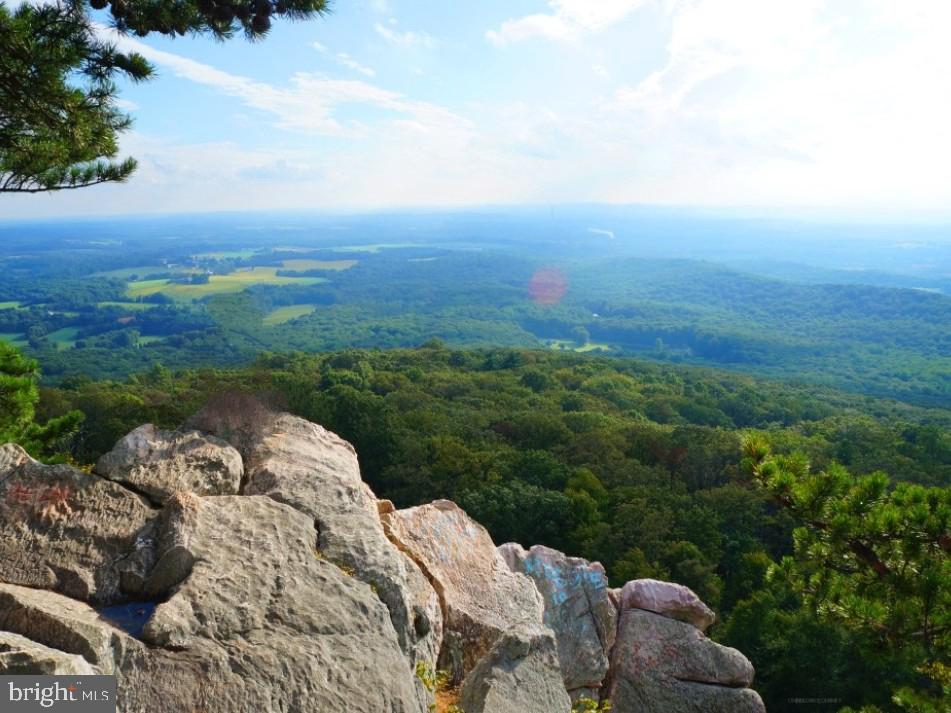 17628 COLLIER CIRCLE