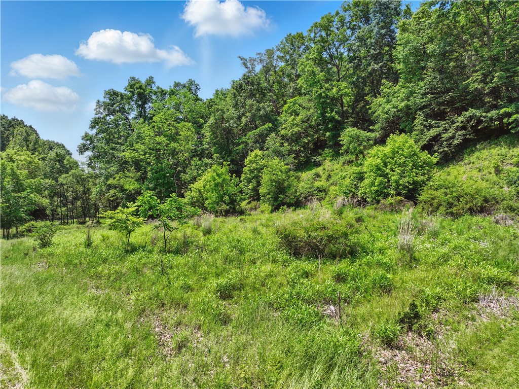 3356 Tarr Hollow Rd